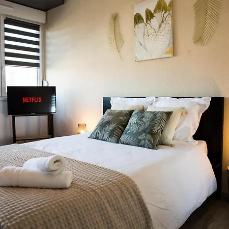 Studio Prestige Coeur De Apartment Mulhouse