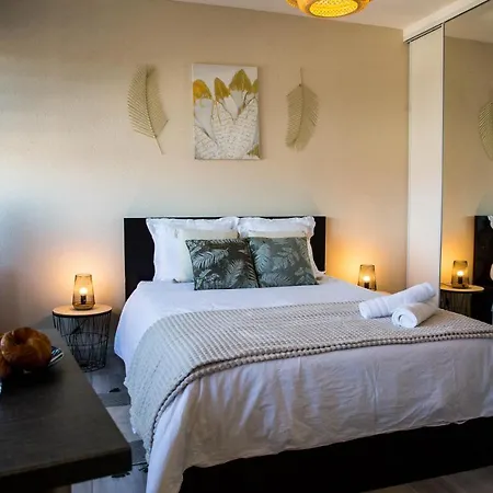 Apartment Studio Prestige Coeur De Mulhouse